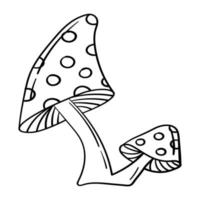 autocollant doodle champignons vénéneux et non comestibles vecteur