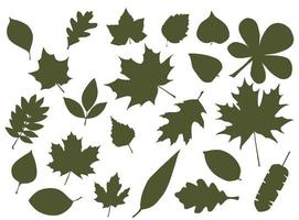 ensemble de silhouettes de feuilles. feuilles d'arbres forestiers à feuilles caduques vecteur