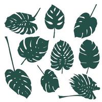 ensemble de silhouettes de feuilles de monstera vecteur