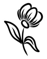dessin linéaire vectoriel d'une fleur sur fond blanc