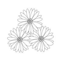 fleurs de camomille contour noir et blanc illustration vectorielle isolée sur fond blanc vecteur