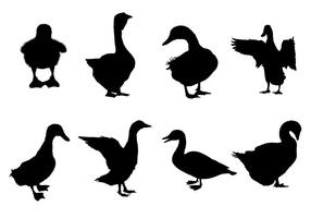 Vecteurs gratuits de silhouette de canard vecteur