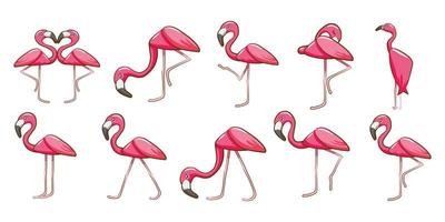 ensemble de flamants roses de dessin animé vecteur