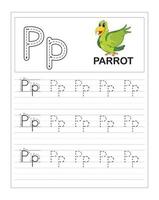 feuilles de travail de traçage de l'alphabet coloré pour enfants, p est pour perroquet vecteur