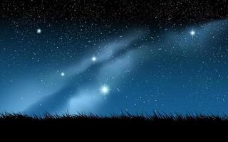 illustration du ciel nocturne avec de l'herbe et de la voie lactée vecteur