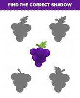 jeu éducatif pour les enfants trouver le bon ensemble d'ombres de raisin de fruits de dessin animé vecteur