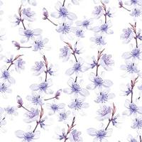 modèle sans couture. fleurs de sakura dessinant une couleur bleue aquarelle sur fond blanc. conception de cerisier en fleurs pour textiles, céramiques, tissus, papiers peints, emballages. vecteur