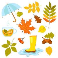 ensemble d'automne avec des feuilles, des bottes en caoutchouc, des glands, des baies de rowan, une tasse de thé. illustration vectorielle. vecteur