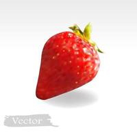 illustration vectorielle de fraise mûre dessinée à la main dans un style noir réaliste vecteur