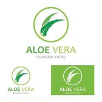 modèle d'illustration vectorielle logo aloe vera vecteur