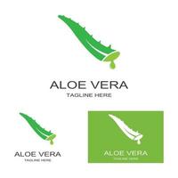 modèle d'illustration vectorielle logo aloe vera vecteur