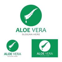 modèle d'illustration vectorielle logo aloe vera vecteur