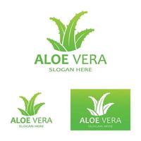 modèle d'illustration vectorielle logo aloe vera vecteur