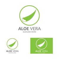 modèle d'illustration vectorielle logo aloe vera vecteur