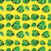 motif de feuilles tropicales sans soudure illustration botanique aquarelle belle feuille de monstera élégante vecteur