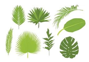 Vecteurs de feuilles de palmier vecteur