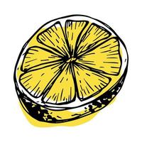 vecteur citron clipart. icône d'agrumes dessinés à la main. illustration de fruits. pour l'impression, le web, le design, la décoration