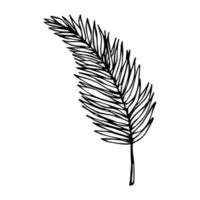 illustration simple de feuilles tropicales. clipart vectoriel dessiné à la main. griffonnage botanique