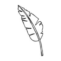 illustration simple de feuille de bananier tropical. clipart vectoriel dessiné à la main. griffonnage botanique