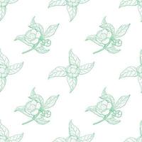 camellia sinensis motif contour vert vintage vecteur