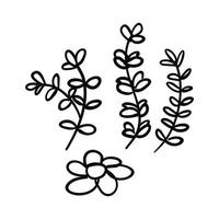 ensemble d'éléments floraux, illustration dessinée à la main de branches d'arbres et de fleurs vecteur