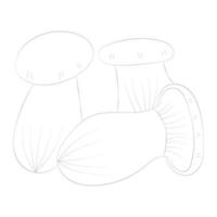 coloriages de champignons vecteur