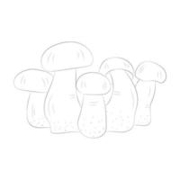 coloriages de champignons vecteur