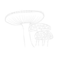 coloriages de champignons vecteur