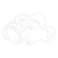 coloriages de champignons vecteur