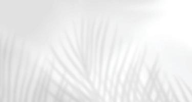 fenêtres de lumière naturelle floues réalistes, superposition d'ombre de feuilles de palmier sur papier peint ou texture de cadres, arrière-plan abstrait, été, printemps, automne pour le podium de présentation du produit et la maquette saisonnière vecteur