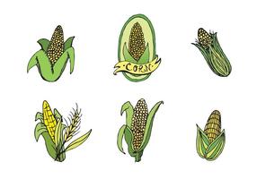 Série gratuite de vecteurs d'oreille de maïs vecteur