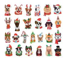 collection de chiens en costumes de noël vecteur