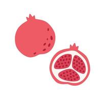 grenade fraîche. fruits exotiques et tropicaux. nourriture saine. illustration vectorielle dans un style plat vecteur