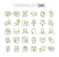 ensemble d'icônes linéaires d'endocrinologie vecteur