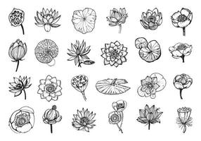 illustrations de lotus dans un style d'encre d'art vecteur