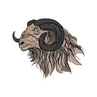 dessin vectoriel de tête de mouton mâle ram, art d'arrière-plan nature