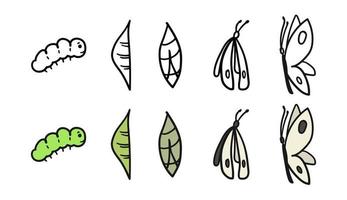 métamorphose du pieris brassicae. processus de développement de la chenille au papillon transformation du cocon, cycle de vie, papillon du chou de croissance, illustration vectorielle de croquis dessinés à la main. métamorphose des insectes.