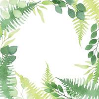 cadre aquarelle carré avec des feuilles abstraites simples. sauvages, herbes forestières, feuilles d'eucalyptus, fougère. vecteur