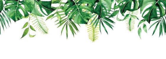 bordure aquarelle transparente, bannière, cadre avec des feuilles tropicales. feuilles vertes de monstera, palmier, fougère isolé sur fond blanc. clipart d'impression sans soudure vecteur