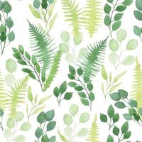 motif aquarelle transparente. jolies feuilles simples d'eucalyptus et de fougère. impression abstraite avec des feuilles vertes transparentes isolées sur fond blanc vecteur