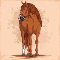 cheval brun dessiné à la main avec des cheveux ondulés doux regardant sur le côté isolé sur fond de plâtre vecteur