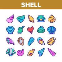 icônes de collection de coquillages et de conques marines définies vecteur