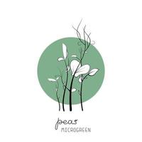 pousses de pois sur illustration vectorielle de cercle fond microgreen croquis. vert pour le jardinage domestique. vecteur