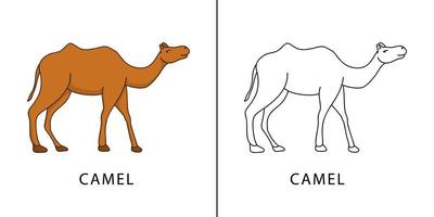 caricature d'icône de chameau. animal désert caractère symbole vecteur enfants livre de coloriage