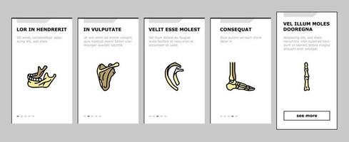 structure du squelette humain osseux icônes d'intégration définies vecteur