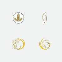 vecteur de logo de blé agricole