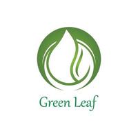 logos de l'écologie des feuilles d'arbre vert vecteur