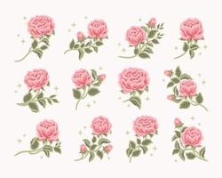 collection de logo féminin de bourgeon de fleur de rose romantique vintage, étiquette de beauté, éléments de marque
