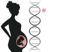 dépistage génétique prénatal vecteur