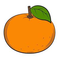 mandarine, mandarine, fruit dans un style linéaire. élément décoratif vectoriel coloré, dessiné à la main.